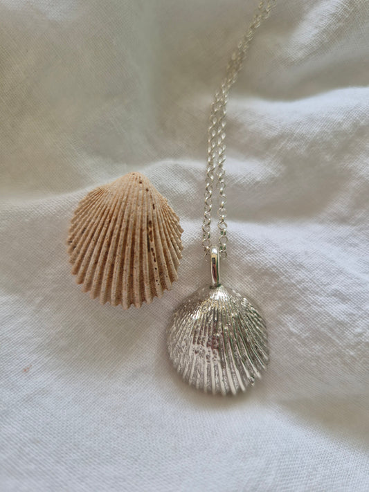 Large Seashell & Chain