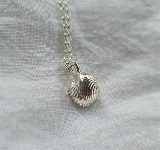 Mini Seashell Pendant & Chain